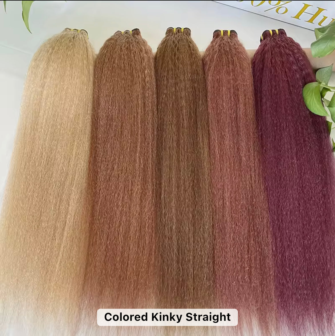 Colored Kinky Straight – 100% Raw Vietnamese Hair